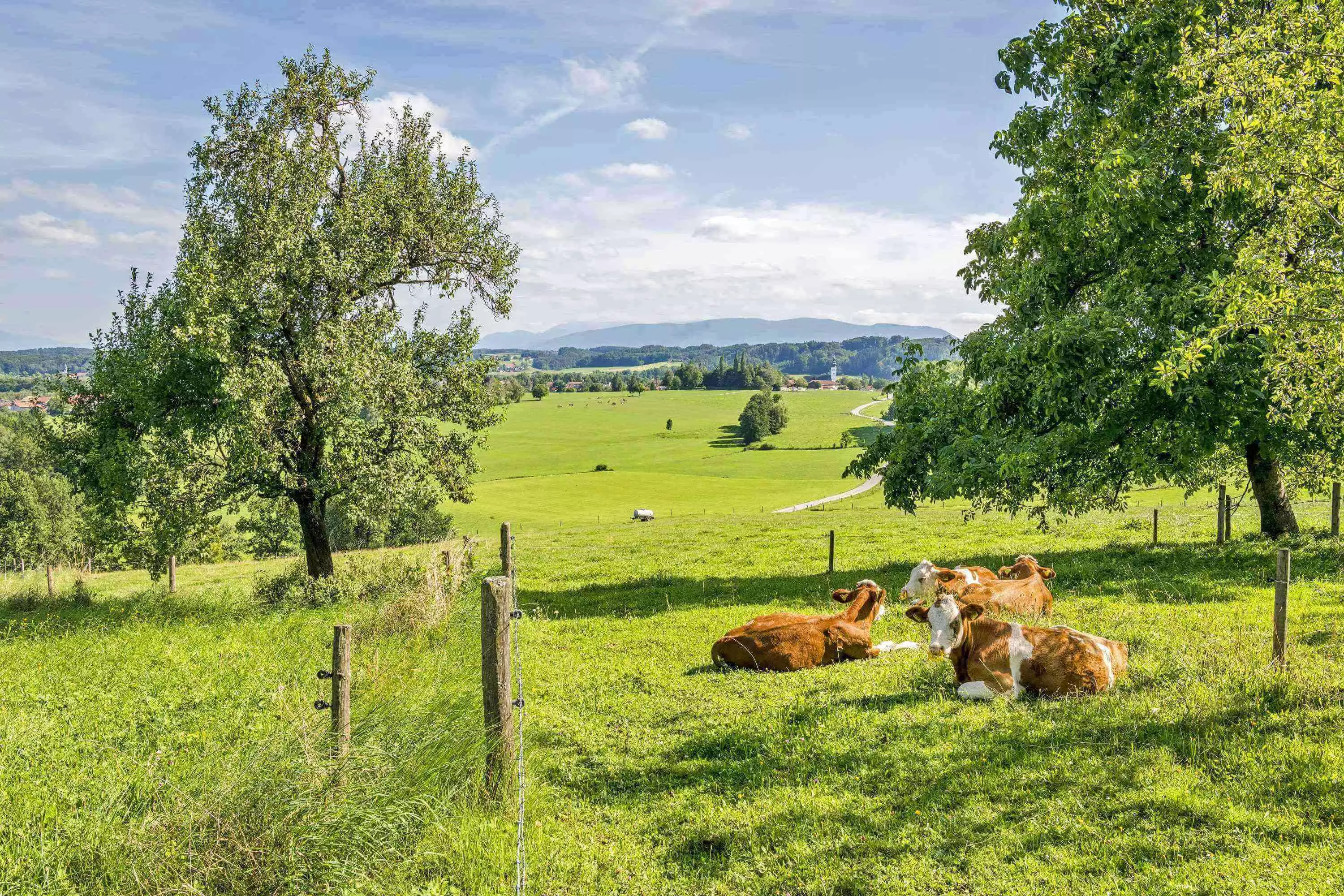 Naturerlebnis Erholung Entspannung Sommeraktivitäten
